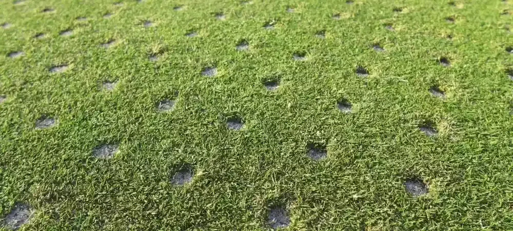 aeration-holes.