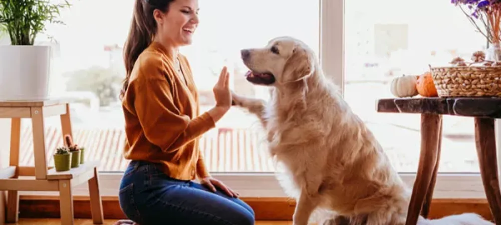 Woman and dog playing in living room